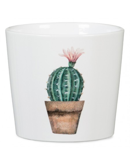 Γλάστρα κεραμική Cactus garden mini
