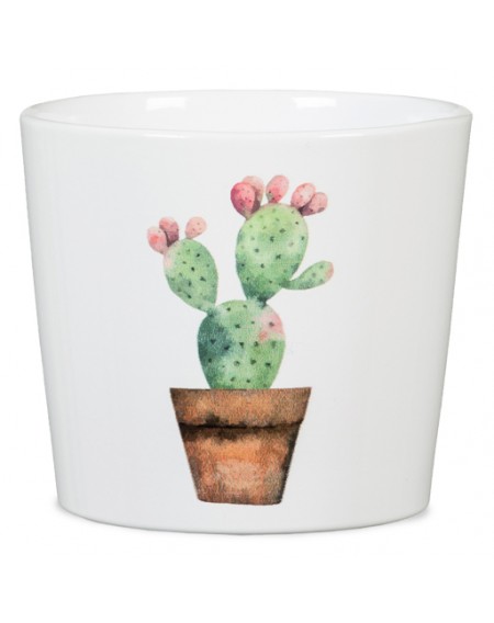 Γλάστρα κεραμική Cactus garden mini